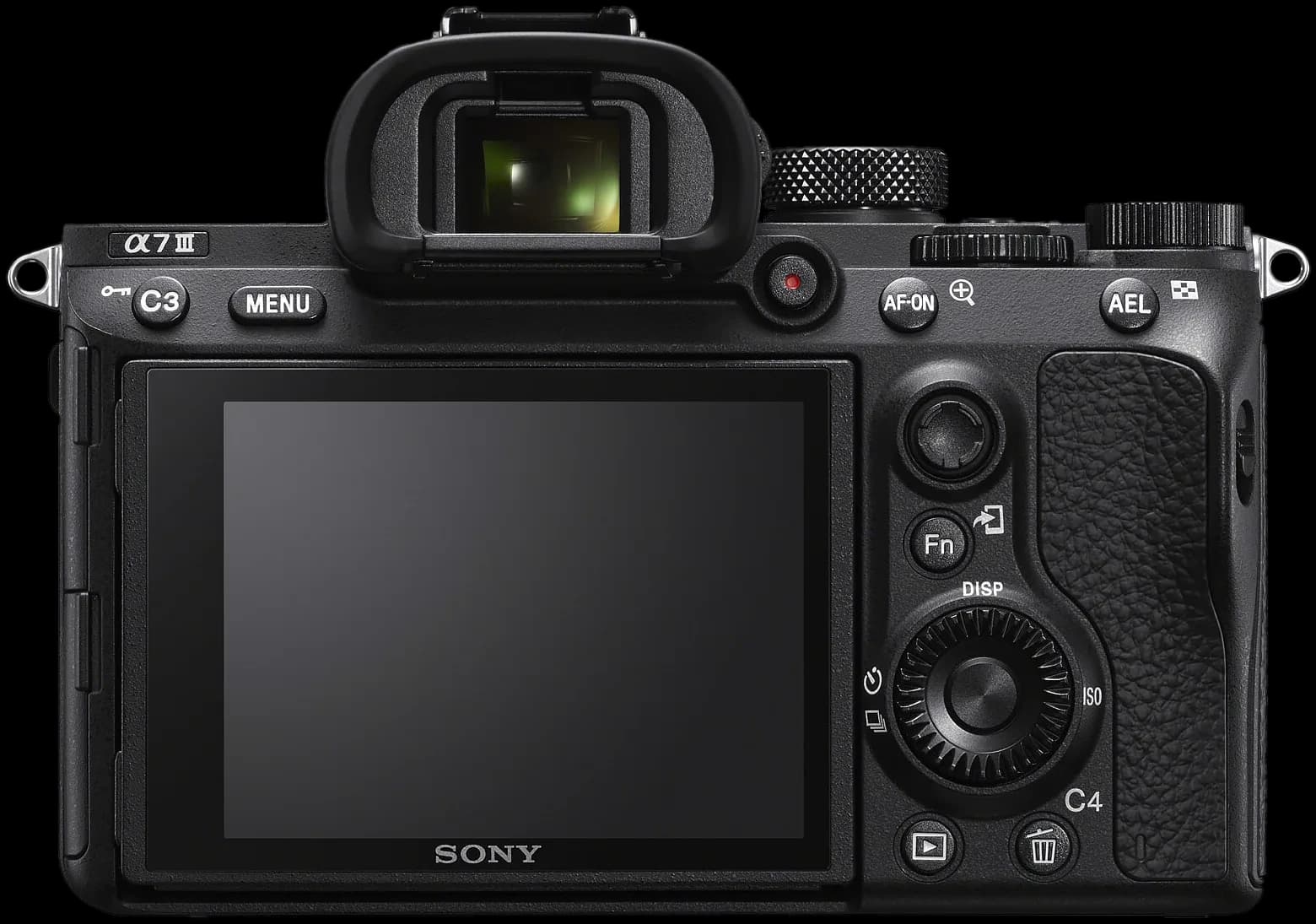 Dos du Sony A7III de Thibault Abraham, écran allumé sur ses photos